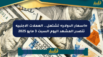 «أسعار الدولار» تشتعل.. العملات الأجنبية تتصدر المشهد اليوم السبت 3 مايو 2025